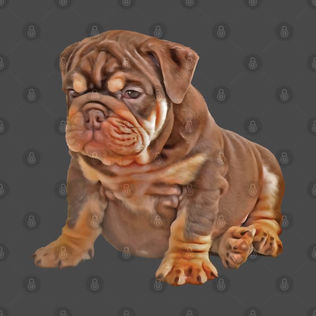 Bulldog Puppy Cute and Chubby by deelirius8