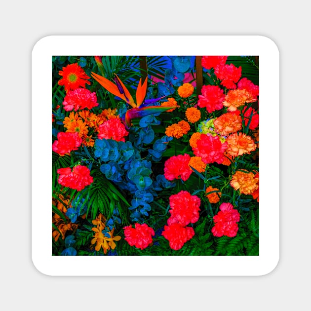 Beautiful colorfol flowers background Magnet by Choulous79