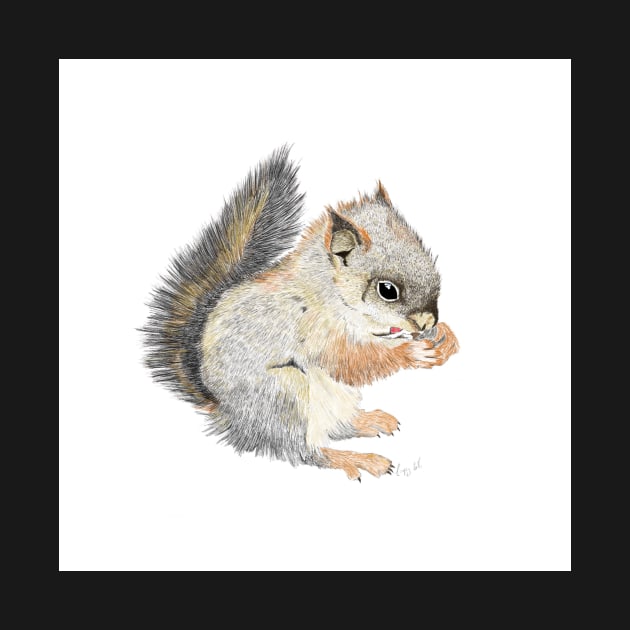 Squirrel by lauramcart