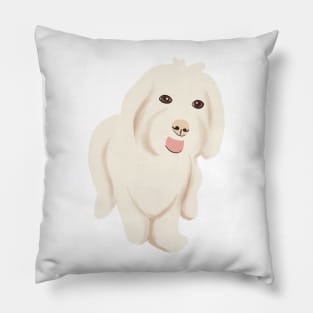 Cute Maltipoo Dog Pillow