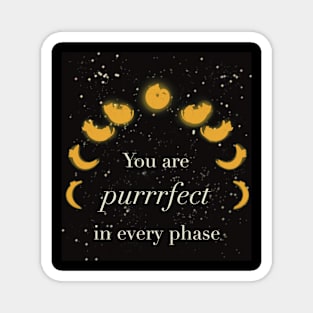 Purrrfect cat phase moon Magnet