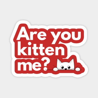 Are you kitten me? Magnet