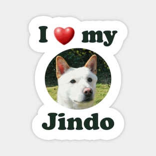 I Love My Jindo Magnet