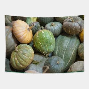 Assorted pumpkins Tapestry