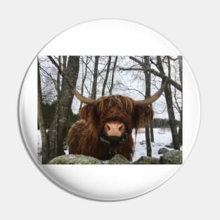 Scottish Highland Cattle Cow 2228 Pin