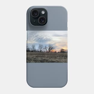 Ontario Marsh No.4 Phone Case