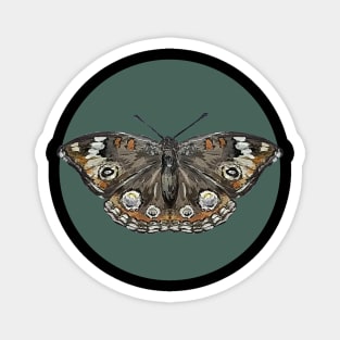 Common buckeye butterfly green Magnet