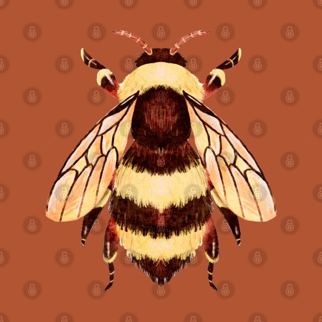 Cute and Fuzzy Honeybee Bug by narwhalwall