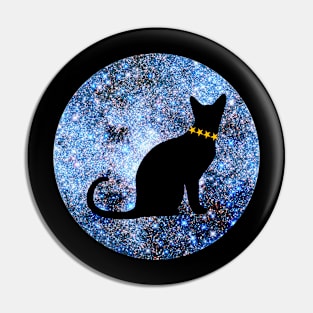 The Cat from Outer Space Pin