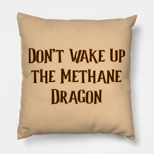 Methane Dragon Climate Change COP26 Glasow Pillow