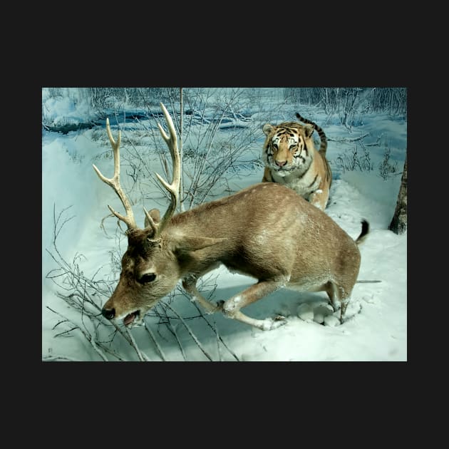 Natural environment diorama -  A deer escaping a tiger attack by Reinvention