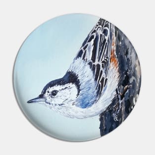 White Breasted Nuthatch - wild bird painting Pin