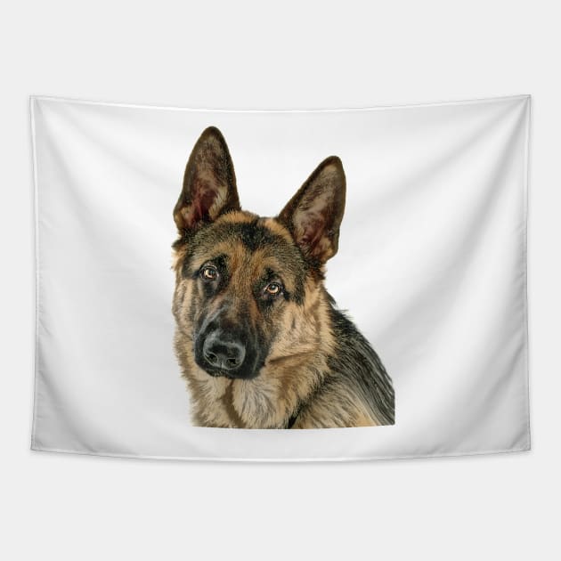 GSD bywhacky Tapestry by bywhacky