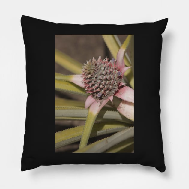 Pineapple Pillow by Wenby-Weaselbee