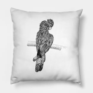 red tailed black cockatoo scientific nature black ink pen drawing illustration Pillow