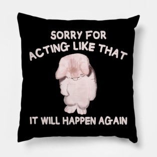 Sorry for acting like that it will happen again Pillow