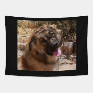 Cute dogs Tapestry