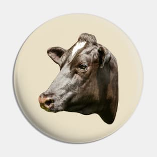 Friesian cow portrait Pin