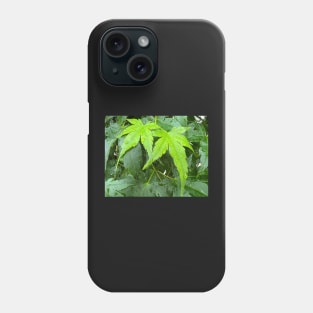 Leaf it to Us to Be Together Thru Thick and Thin Phone Case