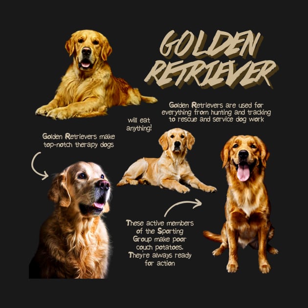 Golden Retriever Fun Facts by Animal Facts and Trivias