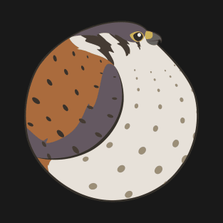 Bird Balls - Peregrine Falcon T-Shirt