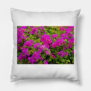 Bougainvillea and Foliage II Pillow