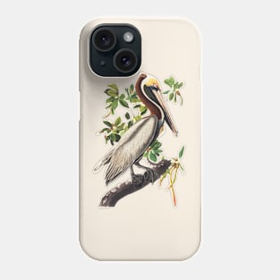 Brown Pelican by Audubon Phone Case