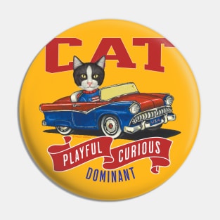 Funny cute kitty cat in a classic retro vintage car with red white and blue flags Pin