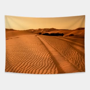 SCENERY 17 - Desert Red Sand Dune Landscape Tapestry