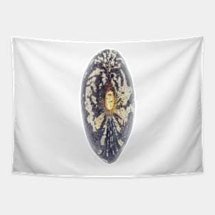 Garden bean seed Tapestry