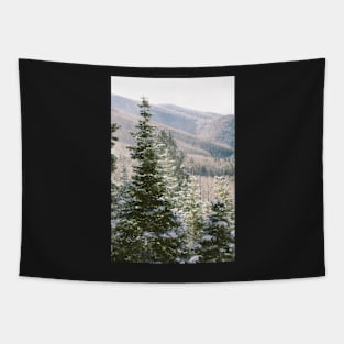 Snow Pines Tapestry