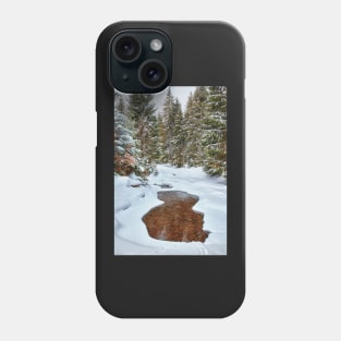 Mountain river in the winter Phone Case