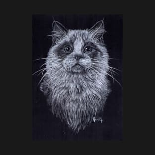 Ragdoll Cat T-Shirt