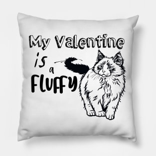 Valentine with A Fluffy Cat Pillow