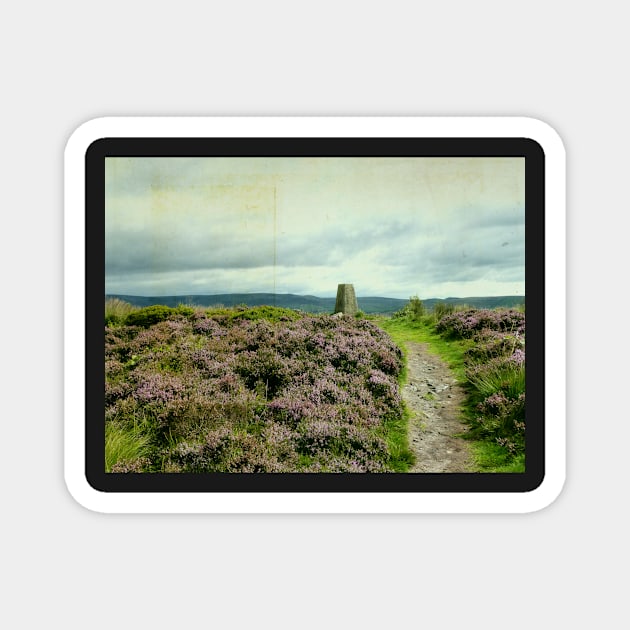 The Trig Point @ Cobden Edge Magnet by rosedew