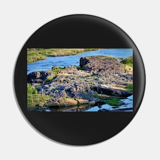 Crocodile River Pin