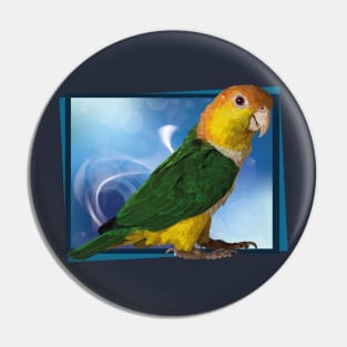 caique Pin