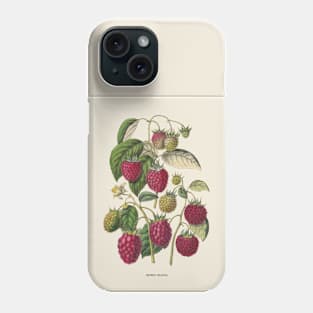 Purple Raspberry Antique Botanical Illustration Phone Case