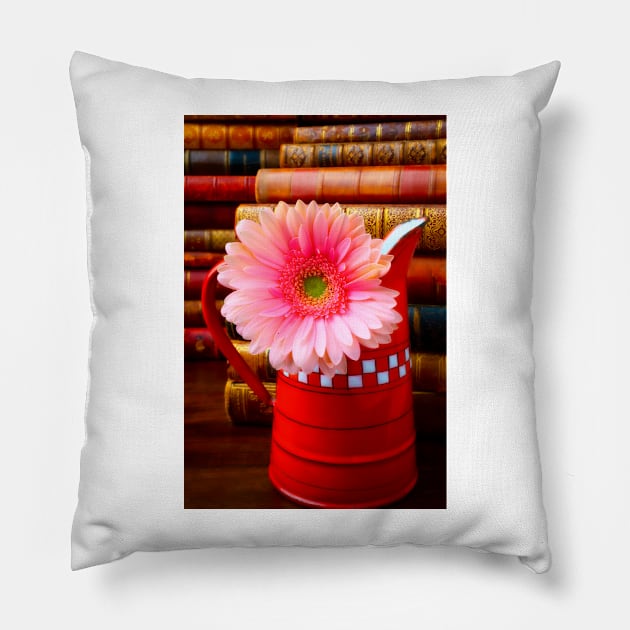 Pink Daisy In Red French Pitcher Pillow by photogarry