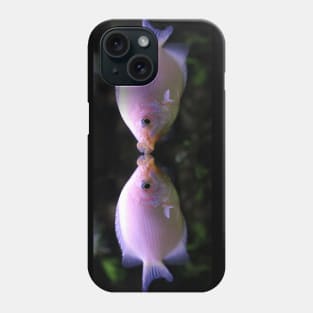 Give Me A Kiss - Kissing Fish Phone Case