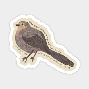 Blackbird Magnet