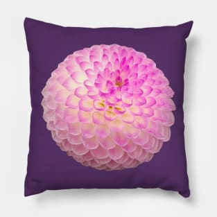 Pink Ball Dahlia Floral Photo Pillow