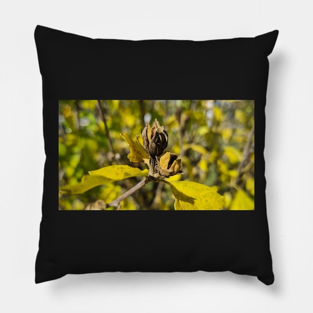 Autumn yellow leaves in sunny weather Pillow by Anastasia-03