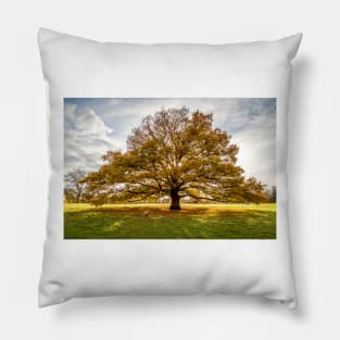 Autumn Oak Pillow