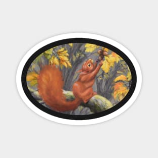 Red Squirrel in Oak Tree reaching for Acorns Magnet