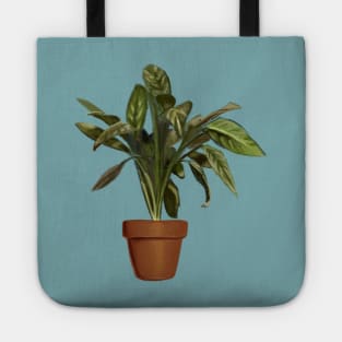 ficus Tote