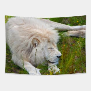 Slumbering Ivory King South African White Lion Tapestry