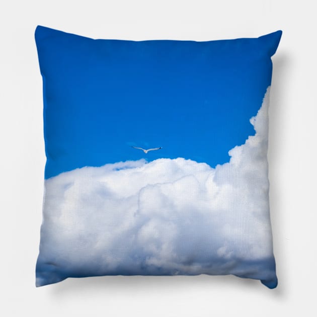 Freedom Pillow by Wavey's