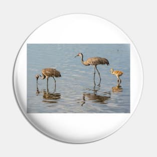 Sandhill crane family Pin