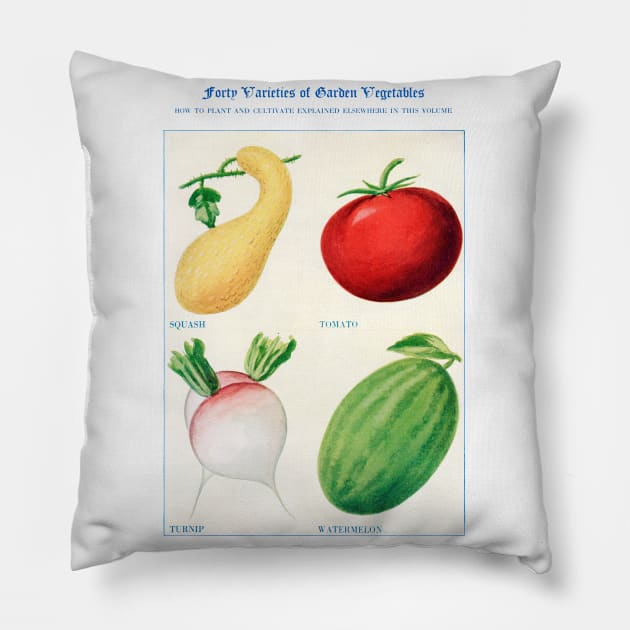 Garden Vegetable watercolor illustration (1915) Pillow by WAITE-SMITH VINTAGE ART